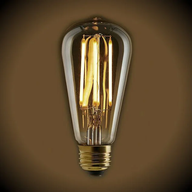 LED Edison light bulbs for energy efficiencyLED Filament Edison Light Bulb - ST19 Vintage - 5 Watt - Amber - 2200K