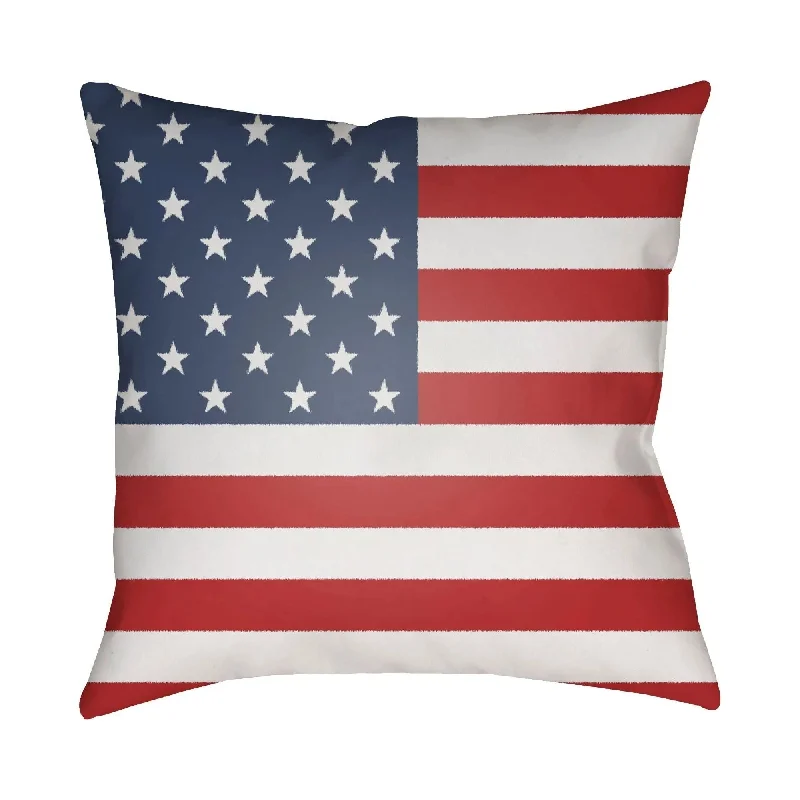 Energy - efficient track lighting fixturesAmericana Accent Pillow