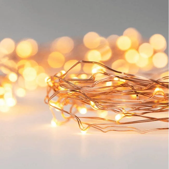 Edison light bulbs for industrial fixturesLED Starry Lights Shapeable Copper Wire - 8 ft.