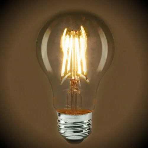 Edison light bulbs for barn lightingLED Filament Light Bulb - A19 Vintage - 6.5 Watt - Clear - 3000K - 810 Lumens