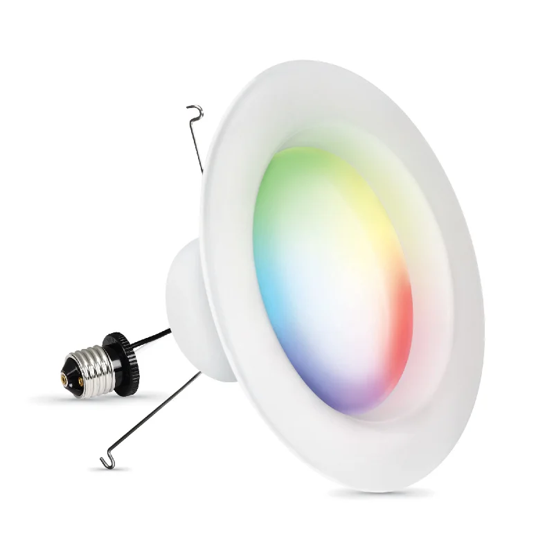 Oval shaped Edison light bulbs6 in. 11.1W (75W Replacement) Color Changing Smart Alexa Google Recessed Downlight