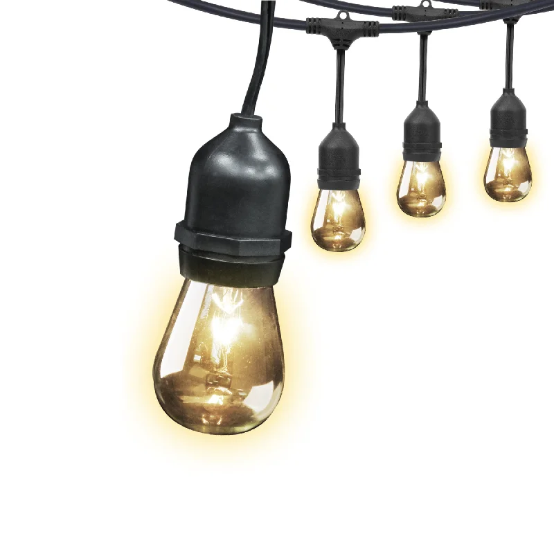 Squirrel cage filament Edison light bulbs30 ft. Incandescent String Lights