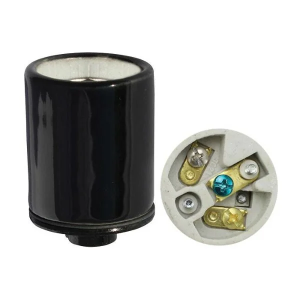 Frosted glass Edison light bulbsThree Conductor Medium Base Porcelain Socket - Black