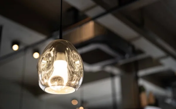 Edison Light Bulbs